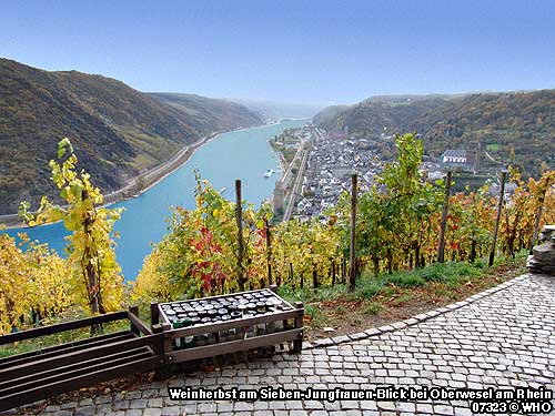 Weinwanderung am Mittelrhein zum Weinherbst am Sieben-Jungfrauen-Blick ins Rheintal bei Oberwesel am Rhein. Foto 07232 � WHO