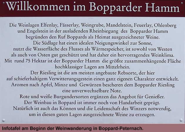 Info-Tafel am Beginn der Weinwanderung in Boppard-Peternach