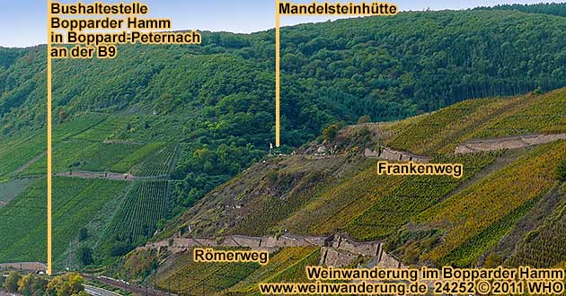 Weinwanderung im Bopparder Hamm entlang Rmerweg, Grilloweg und Frankenweg zur Mandelsteinhtte