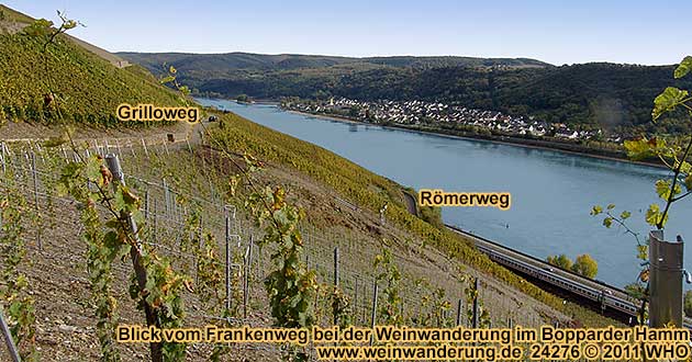 Blick vom Frankenweg bei der Weinwanderung im Bopparder Hamm