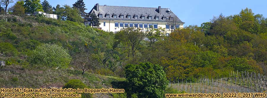 Hotel 561-bjak auf der Rheinhhe ber dem Bopparder Hamm