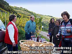 Am Beginn des Mittelrhein-Weinbergs gibt es im Weinviertel am Rhein vor der Weintour �ber den Rheinwanderweg "Weck und Wein".