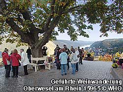 Weinerlebnis am Ziel der Weinwanderwege oder einer Weinbergsrundfahrt beim Gr�nderrodehaus am Burgensteig bzw. Rhein-H�hen-Weg am Mittelrhein Blick ins Rheintal auf Oberwesel und die Sch�nburg.