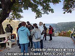 Gef�hrte Weinwanderung am Ziel mit Blick ins Rheintal und auf Oberwesel am Rhein.