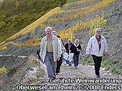 Die Weinberge der Weinanbaugebiete am Rhein sind unterschiedlich steil. Weinreisen mit einer Weinberg-Wanderung und Weinevents im Gewlbekeller oder in den Weinstuben knnen nicht nur an einem Weinwochenende gebucht werden.