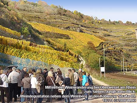 Mittelrhein-Weinwanderung bei Oberwesel am Rhein zum Sieben-Jungfrauen-Blick. Erste Weindegustation neben dem Weinberg an der Koblenzer Stra�e 89.