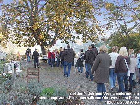 Ziel der Mittelrhein-Weinwanderung am Sieben-Jungfauen-Blick oberhalb von Oberwesel am Rhein.