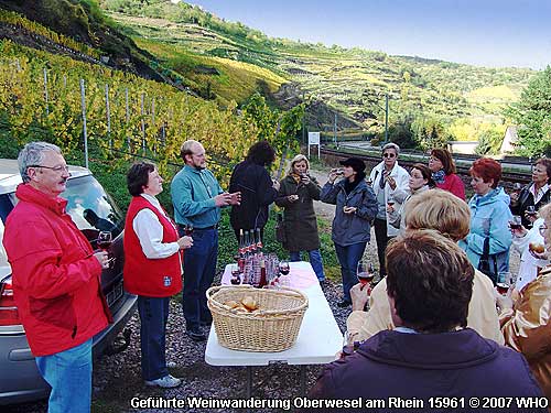 Gef�hrte Weinwanderung Oberwesel am Rhein