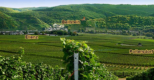 Blick auf Ellenz, Poltersorf und das gegenber liegende Beilstein bei der Weinwanderung durch die Weinberge an der Mosel