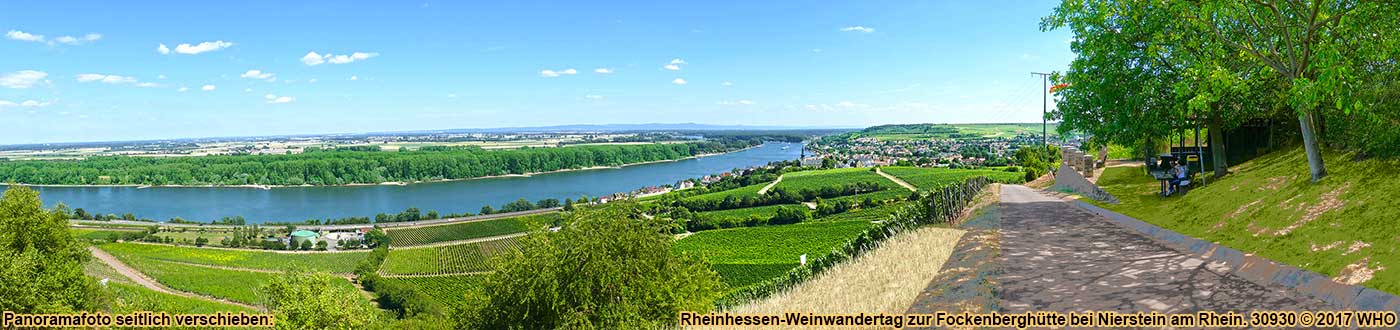 Rheinhessen-Weinwanderung bei Nierstein, Blick von der Fockenberghuette auf den Rhein