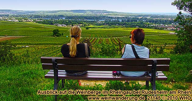Rast bei der Weinwanderung bei Rdesheim im Rheingau