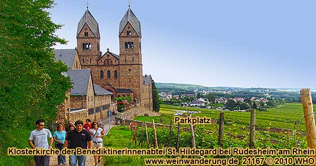Weinwanderung bei Rdesheim im Rheingau