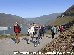 Weinwanderung am Mittelrhein, Foto Nr. 16, � 2004 WHO